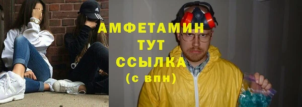 сатива Аркадак