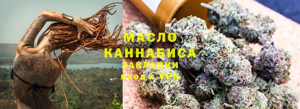 сатива Аркадак