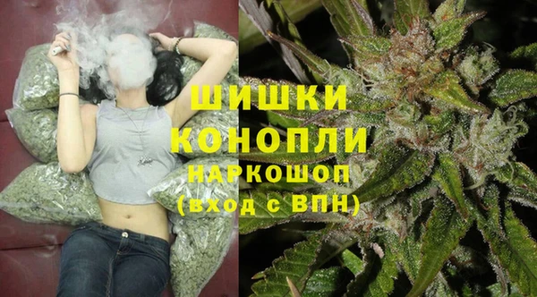 сатива Аркадак