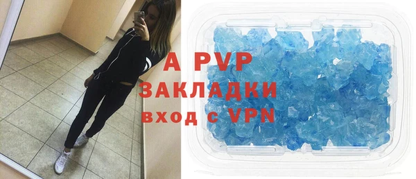 сатива Аркадак